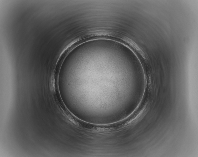 X0000113560782200909181219