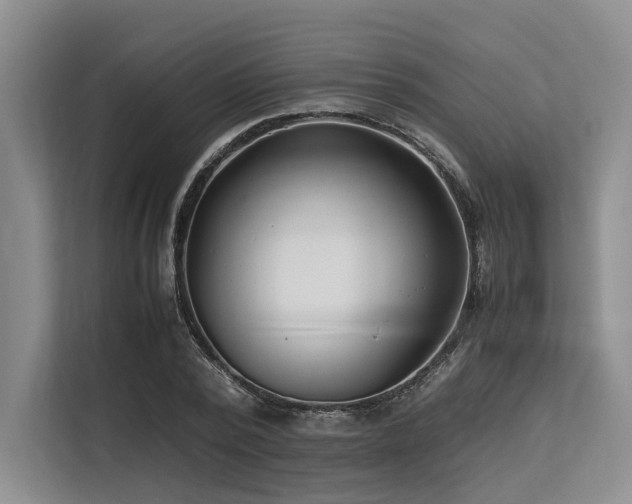 X0000113560784200909181218