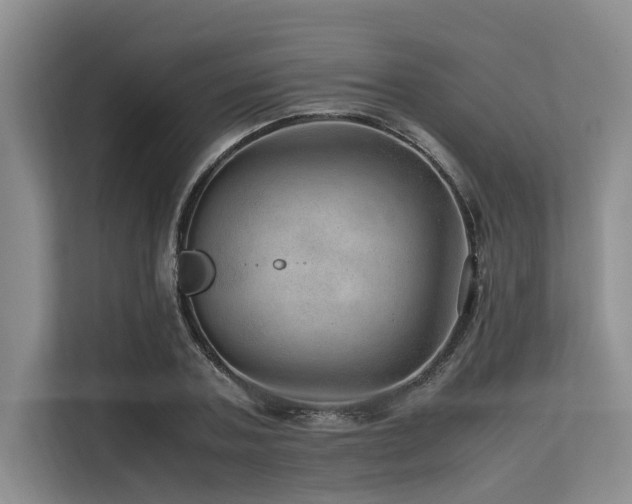 X0000113560787200909181218
