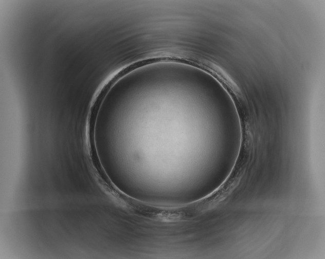 X0000113560788200909181218