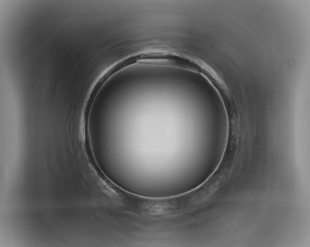 X0000113560791200909181218