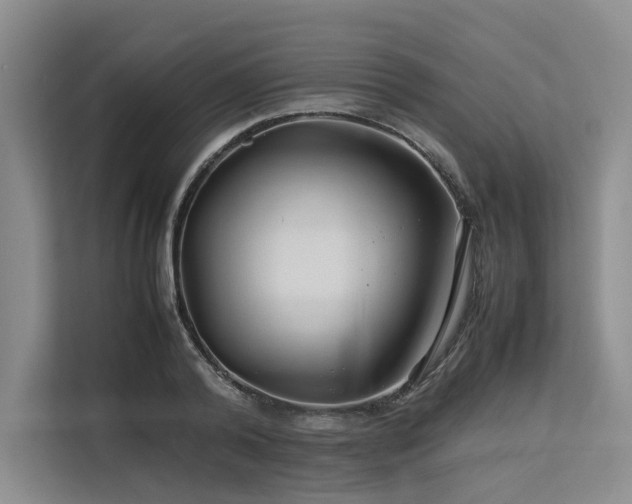 X0000113560792200909181218