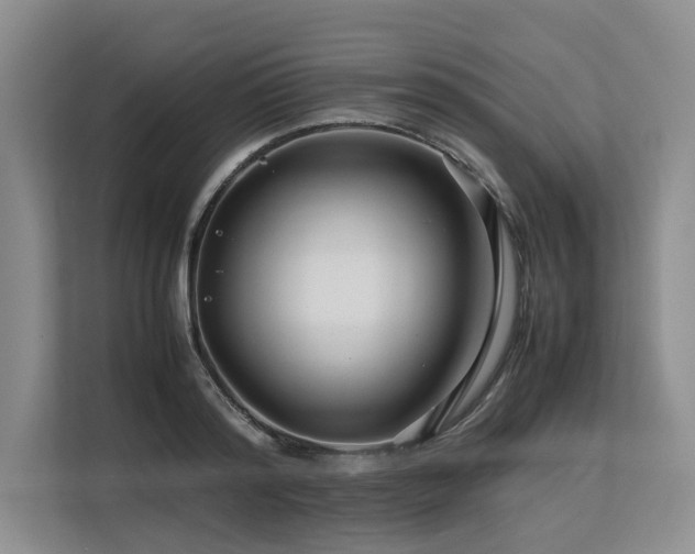 X0000113560796200909181218