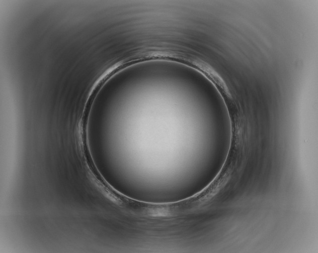 X0000113560798200909181218