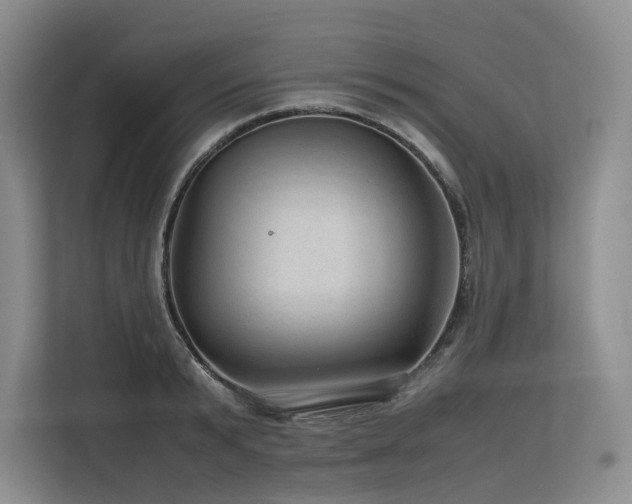 X0000113560799200909181218