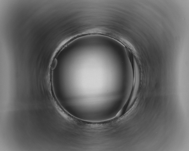 X0000113560800200909181218