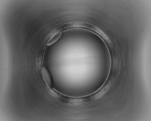 X0000113560801200909181218