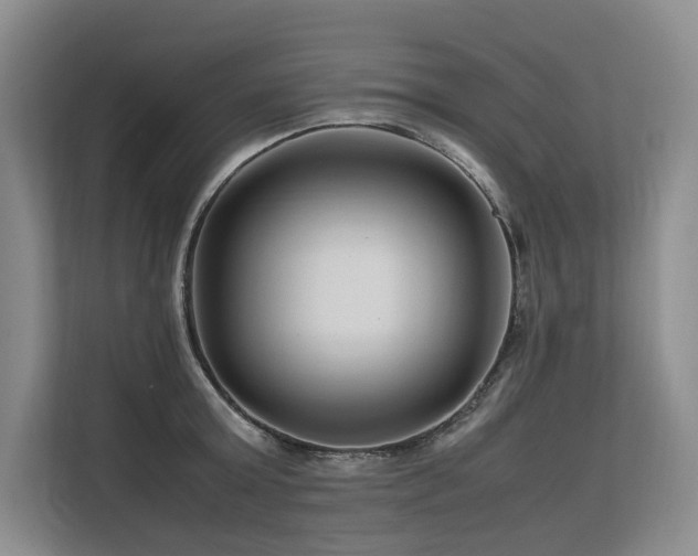 X0000113560803200909181218