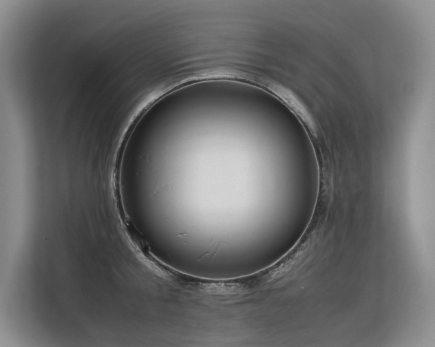 X0000113560805200909181218