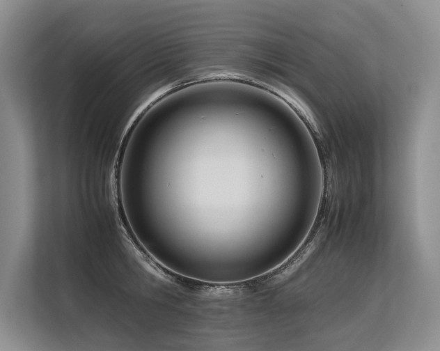 X0000113560806200909181218