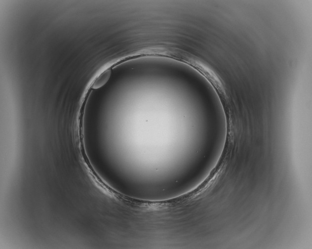 X0000113560808200909181218