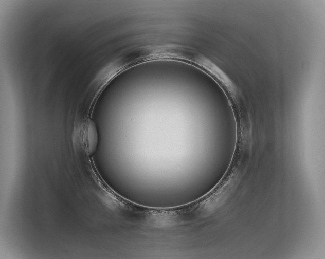 X0000113560809200909181218