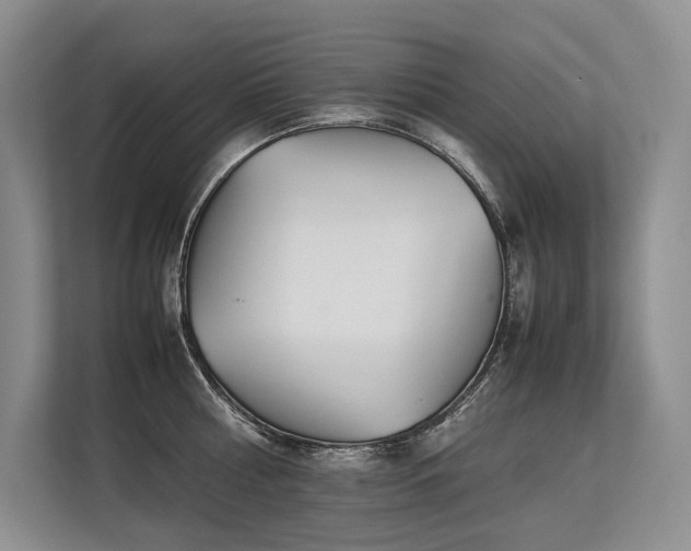 X0000113560810200909181218