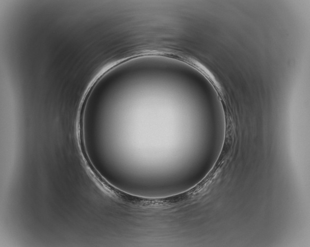 X0000113560811200909181218