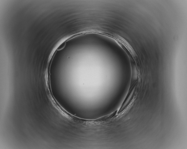 X0000113560812200909181218