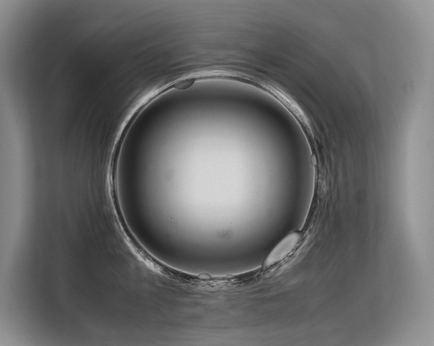 X0000113560813200909181218