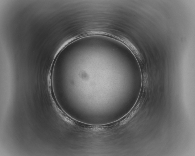 X0000113560814200909181218