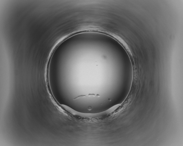 X0000113560815200909181218