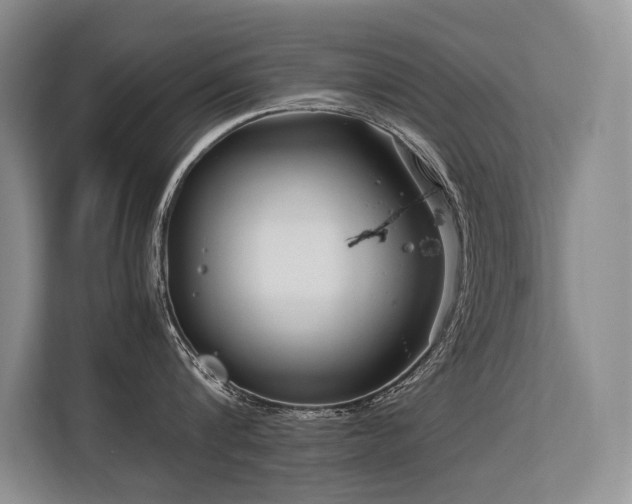X0000113560816200909181218
