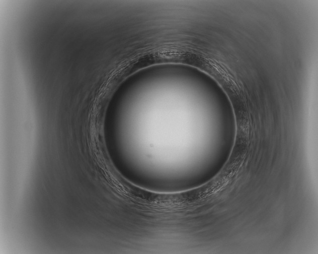 X0000113560817200909181217