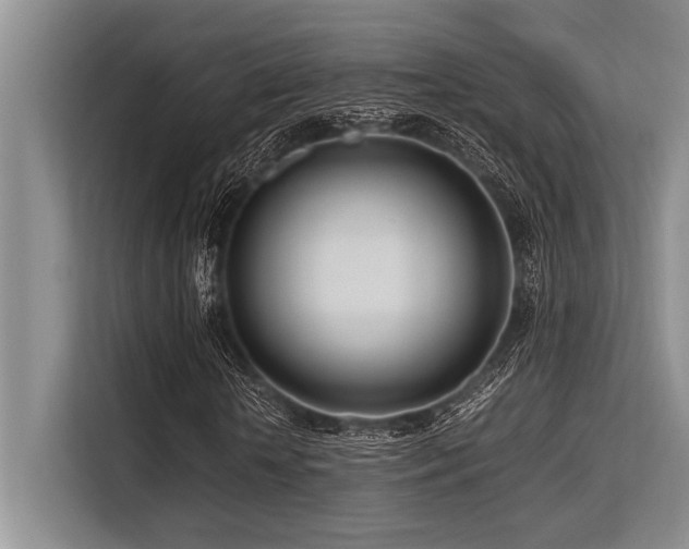 X0000113560818200909181217