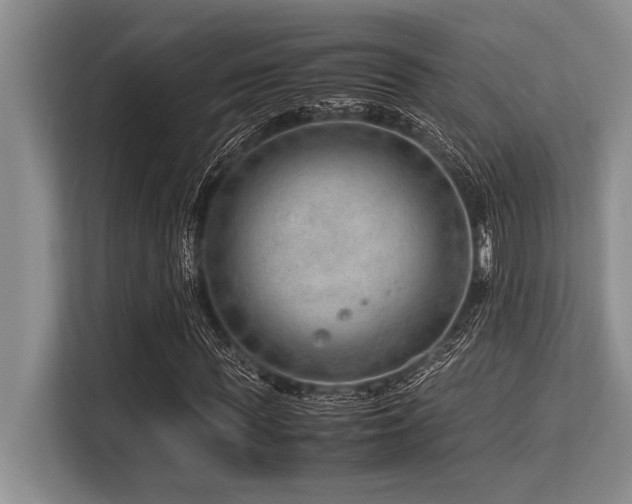 X0000113560819200909181217