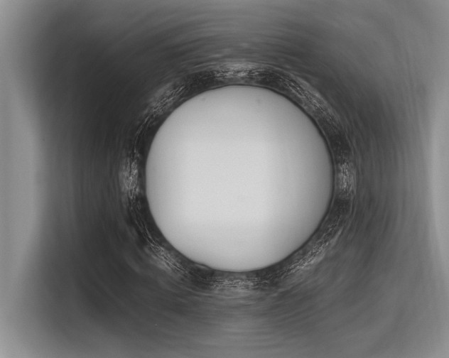 X0000113560820200909181217