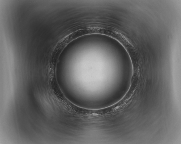 X0000113560821200909181218