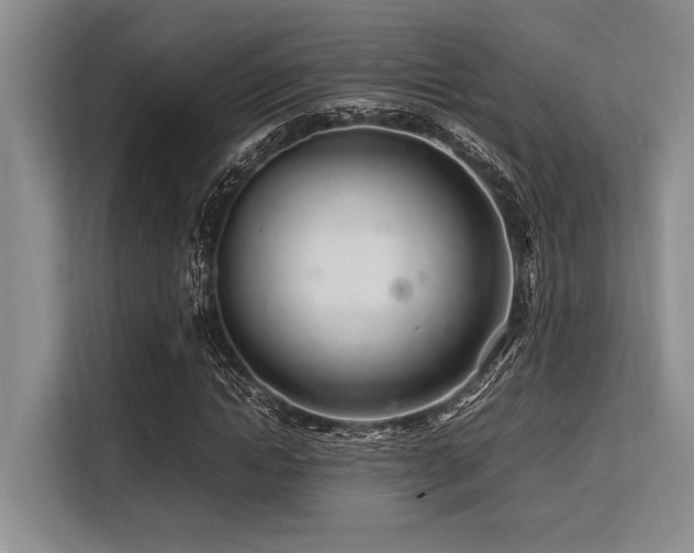 X0000113560822200909181218