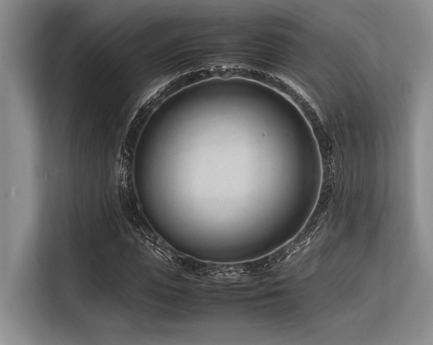 X0000113560823200909181218