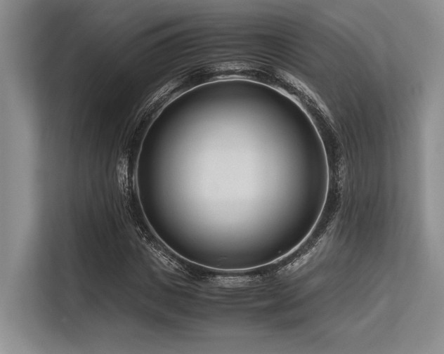 X0000113560825200909181218