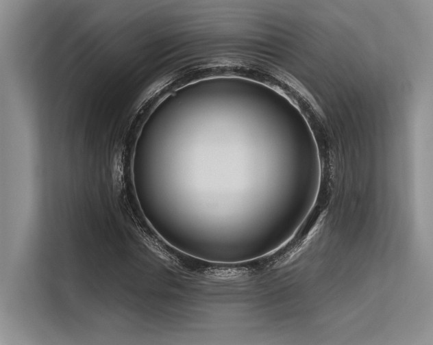 X0000113560826200909181218