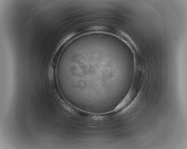 X0000113560827200909181218