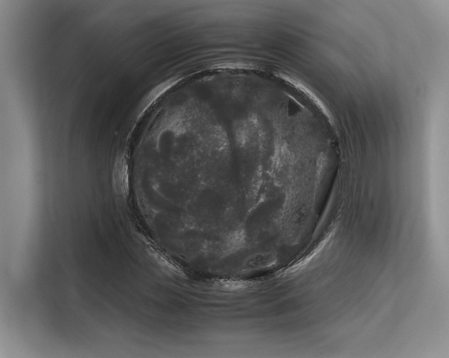 X0000113560829200909181218