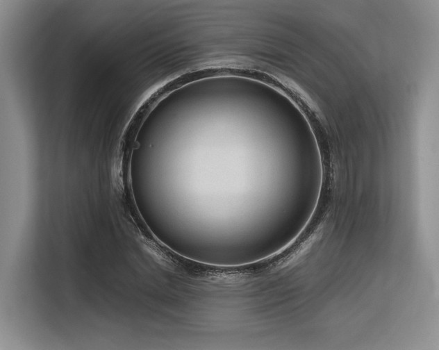 X0000113560830200909181218