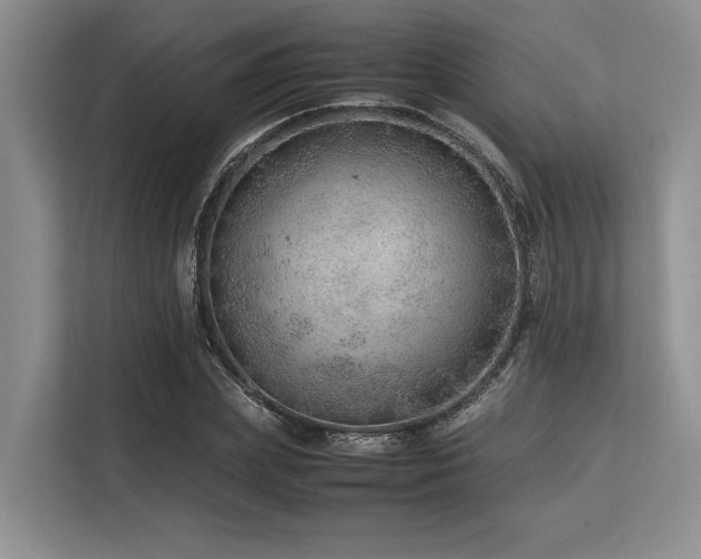 X0000113560831200909181218