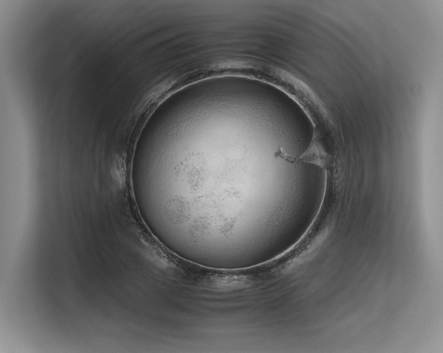 X0000113560833200909181218