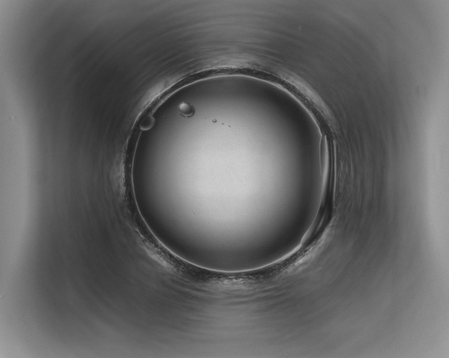 X0000113560834200909181218