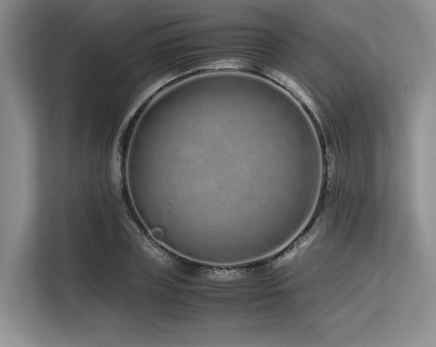 X0000113560835200909181218