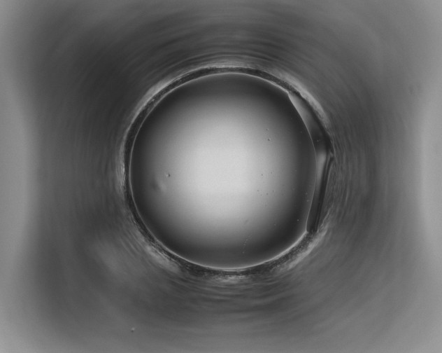 X0000113560837200909181218