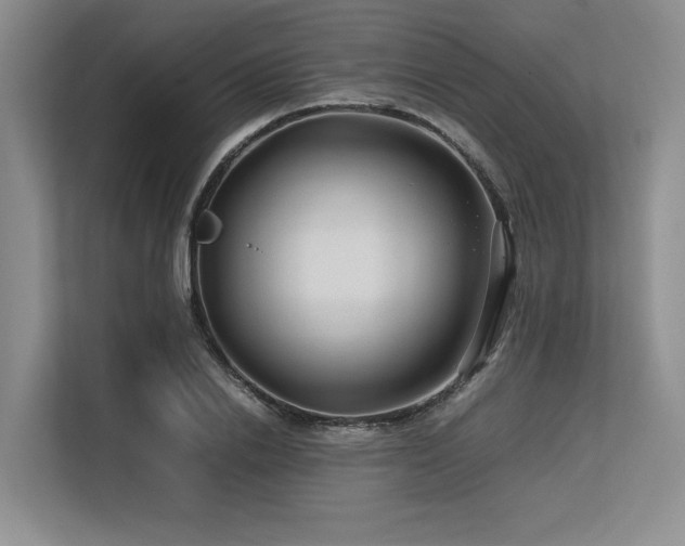 X0000113560838200909181218