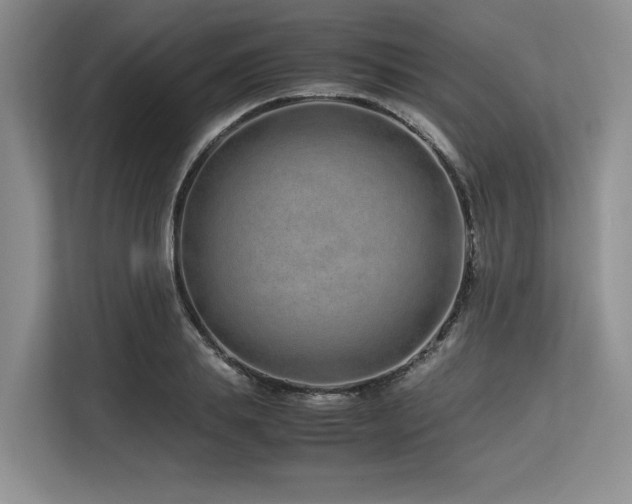 X0000113560839200909181218