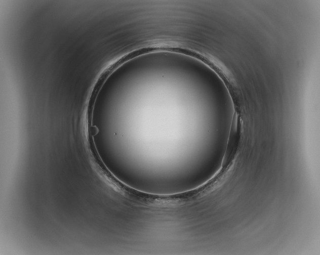 X0000113560840200909181218