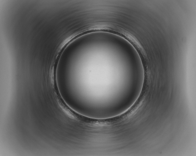 X0000113560842200909181218