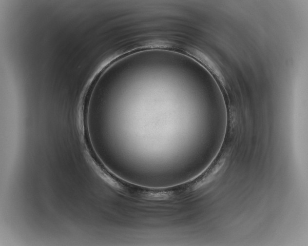 X0000113560843200909181218