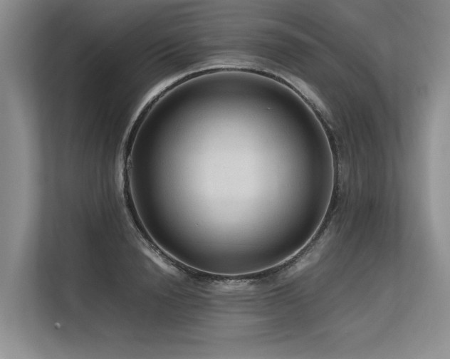 X0000113560846200909181218