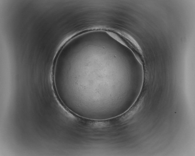 X0000113560847200909181218