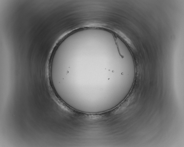 X0000113560848200909181218