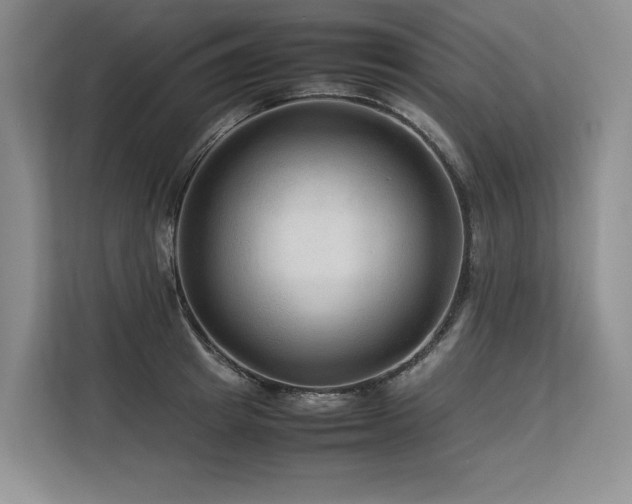 X0000113560849200909181218