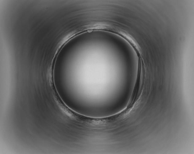 X0000113560850200909181218